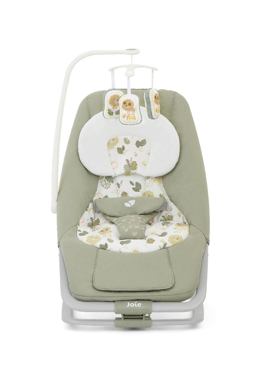 Joie Dreamer Rocker And Bouncer Joie Dreamer Bouncer Arctic NordBaby™