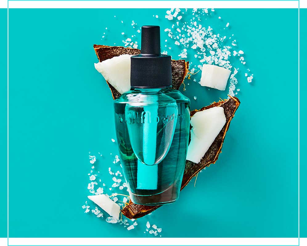 Air freshener plug ins at Bath and Body Works