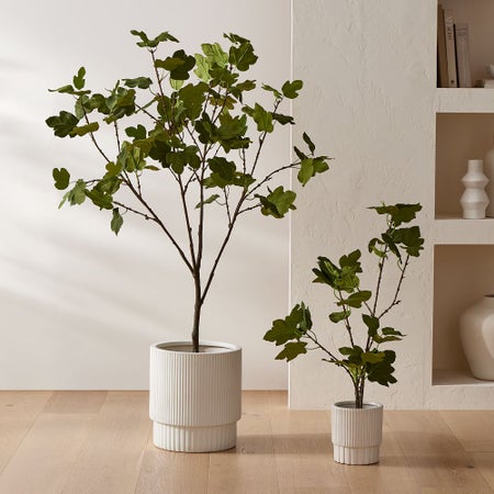 Faux Potted Brown Turkey Fig Tree