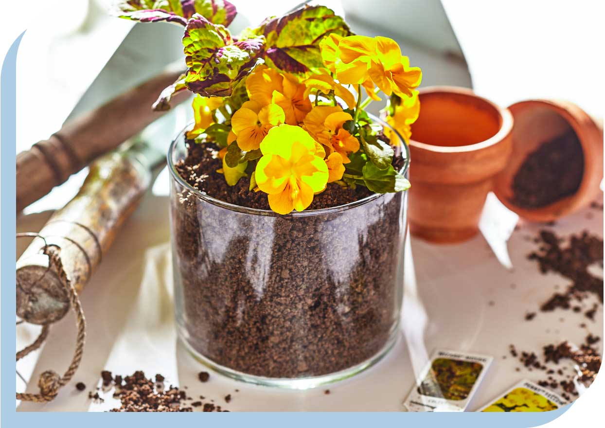 How to recycle bath and body works candle jars for planters