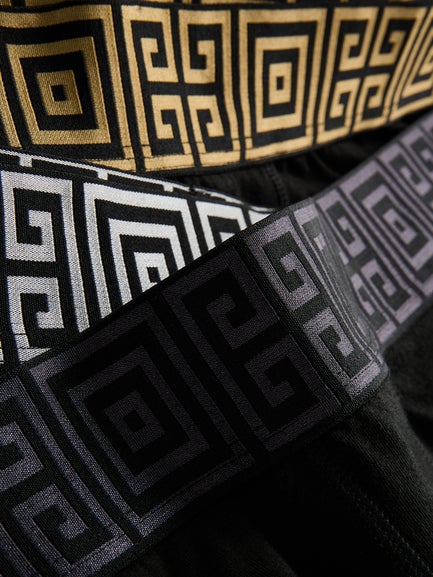 5pk Metallic Waistband Hipster Trunks