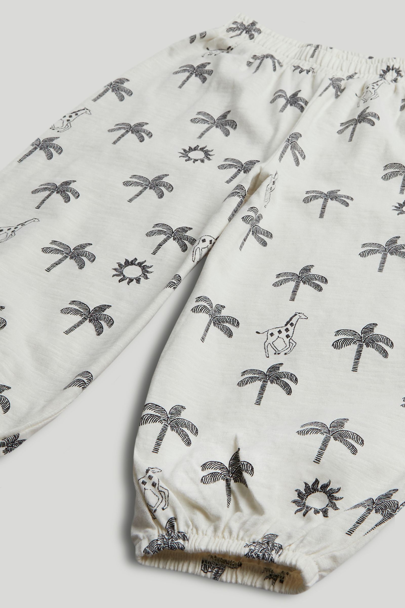 Palm T-Shirt and Trousers Outfit