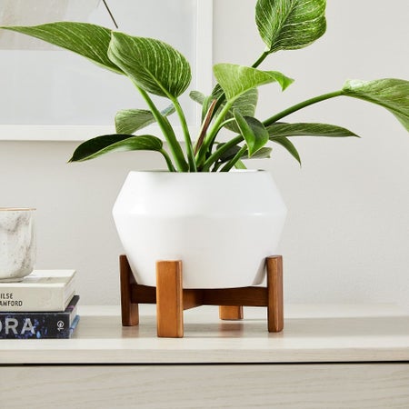 Ilya Turned Wood Tabletop Planters