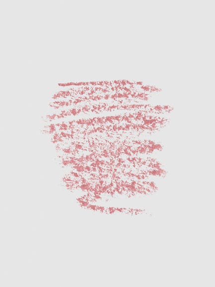 PS... Pro Lip Liner Pencil