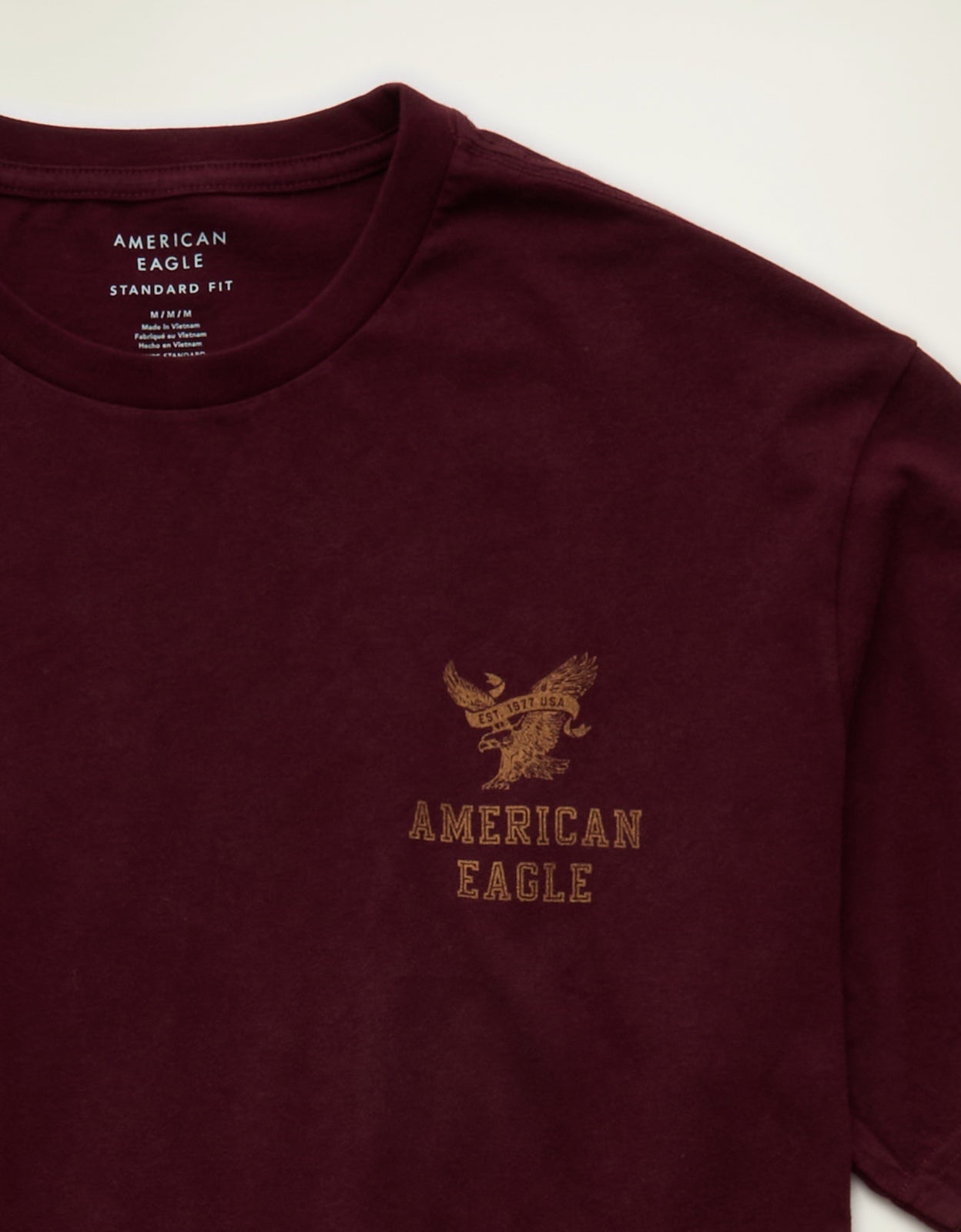 AE Standard Fit Graphic Logo T-Shirt