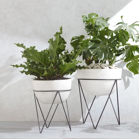 Iris Planter & Chevron Stand