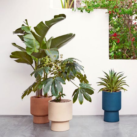 Bishop Pedestal Planters