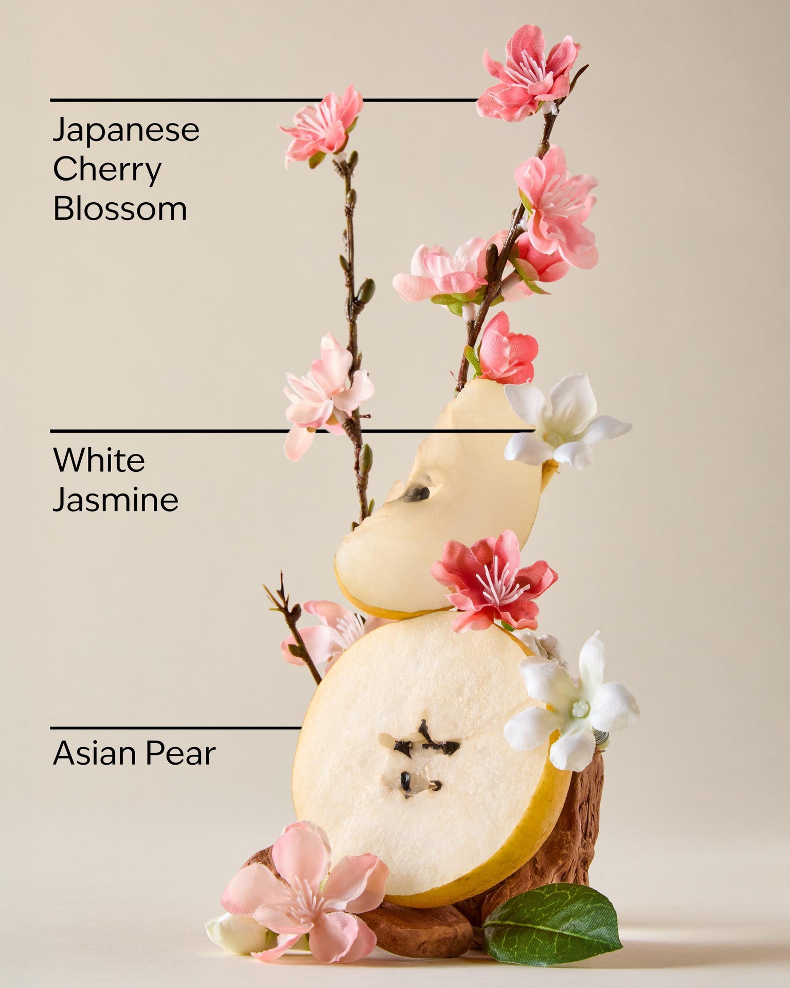 Japanese Cherry Blossom Single Wick Candle