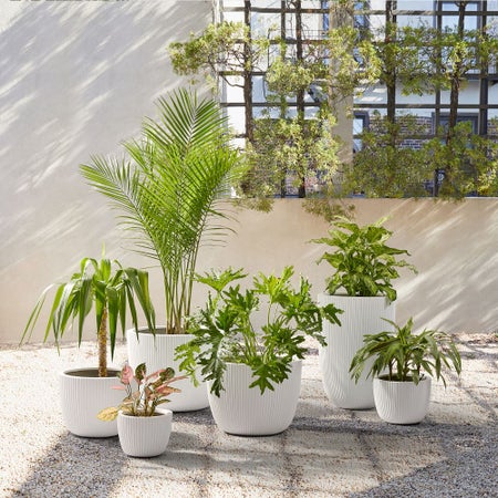 Sanibel Ficonstone Indoor/Outdoor Planters