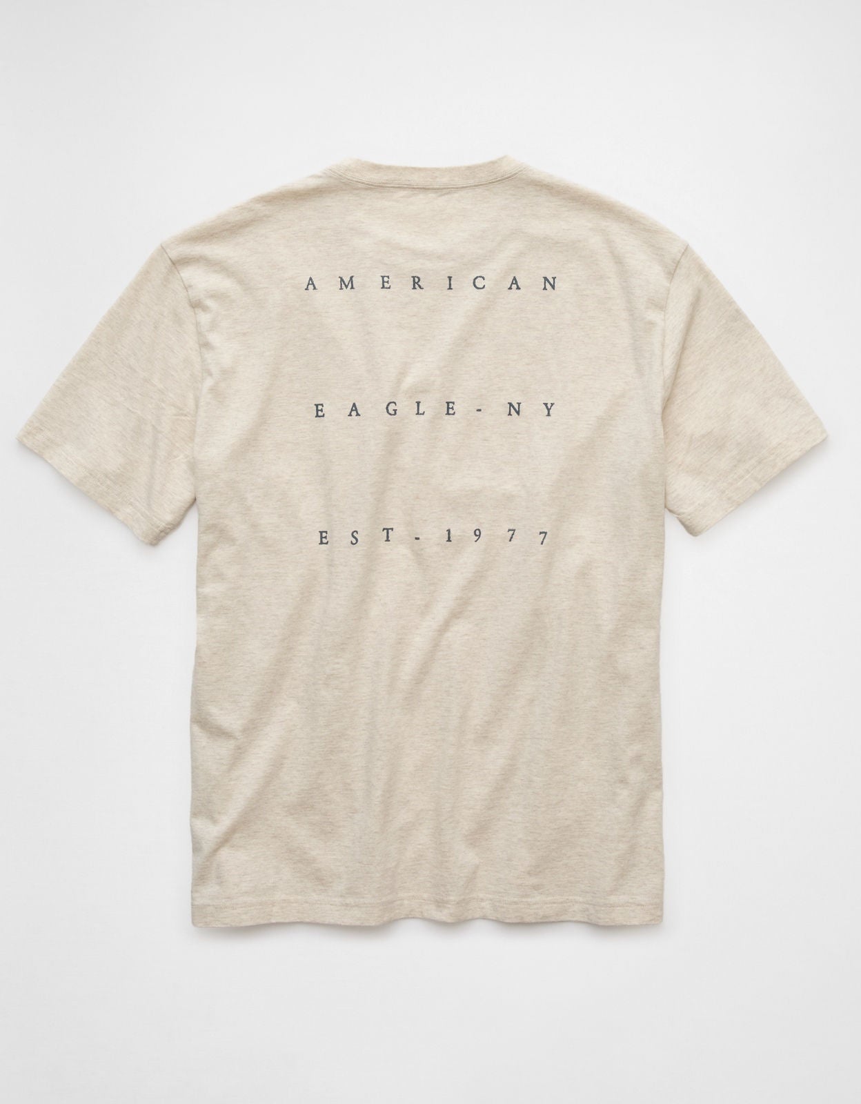 Ae Logo Graphic T-shirt | American Eagle Egypt