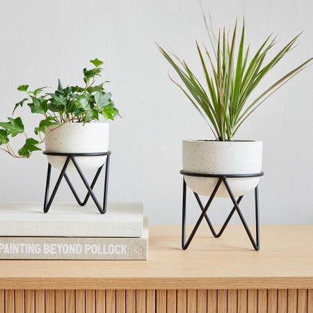 Iris Tabletop Planter
