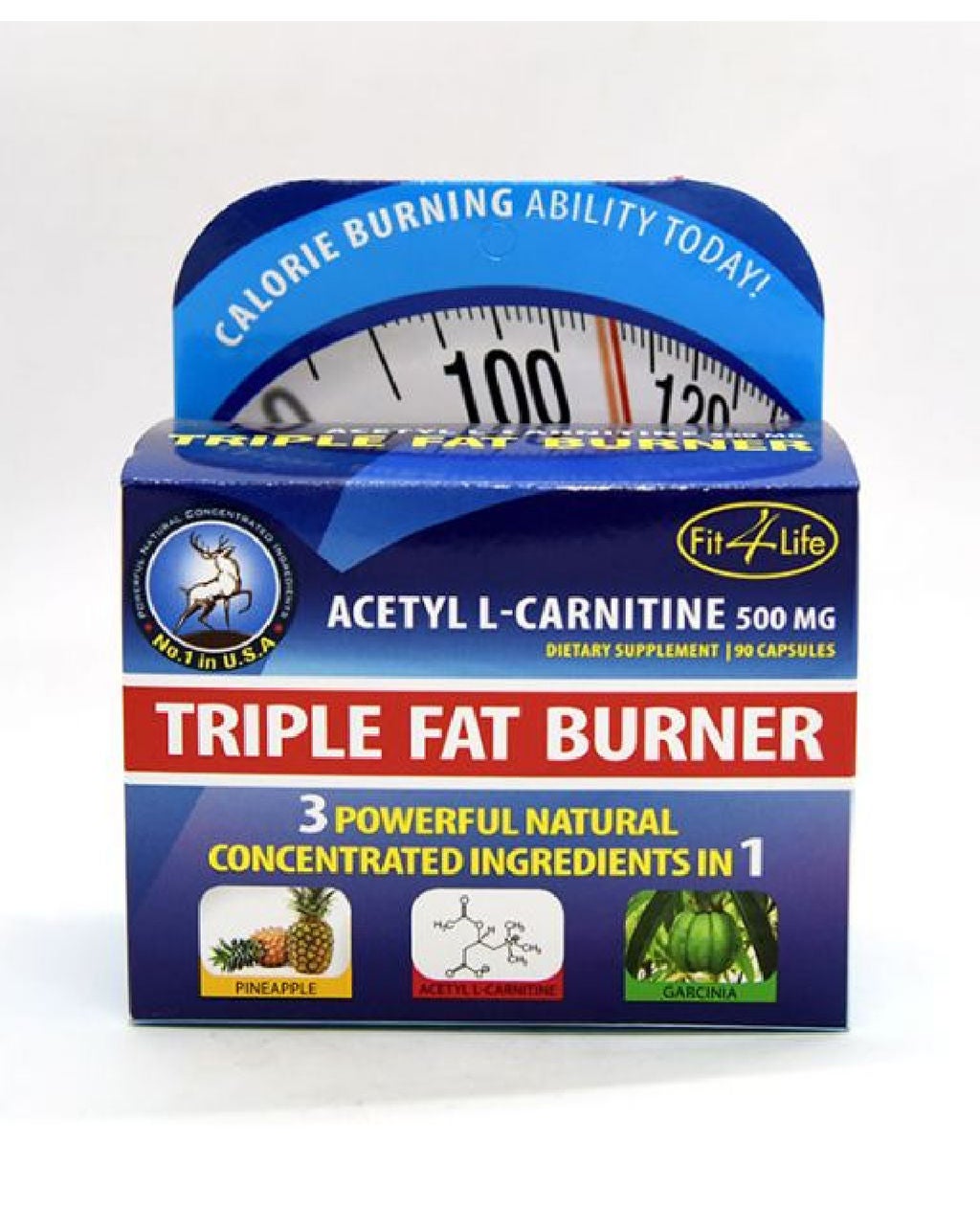 l carnitine 3000 gold nutrition GOLD CARNITINE 3000  Viking Force