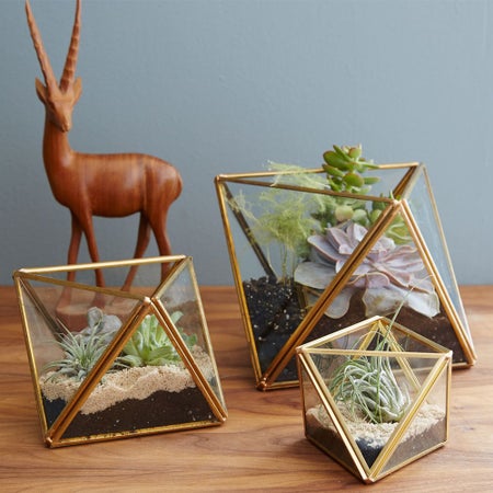 Glass + Metal Faceted Terrariums