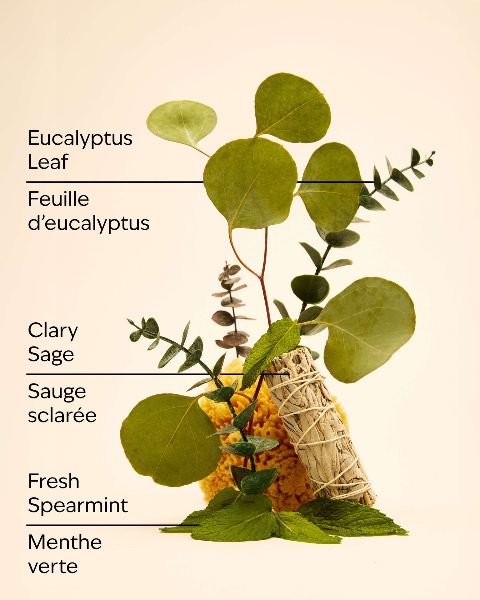 Eucalyptus Spearmint Gift Set
