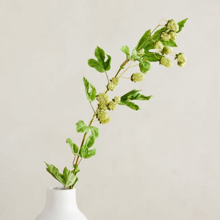 Faux Hops Branch