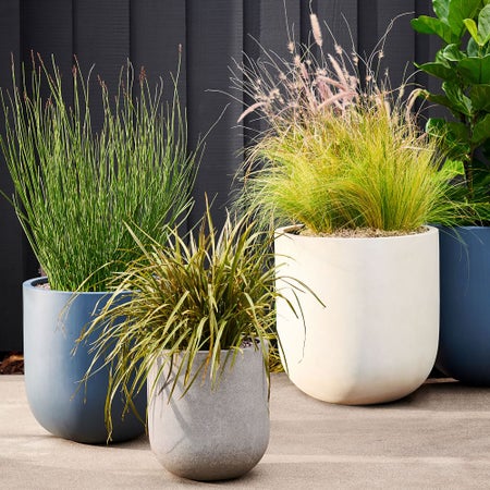 Radius Planters