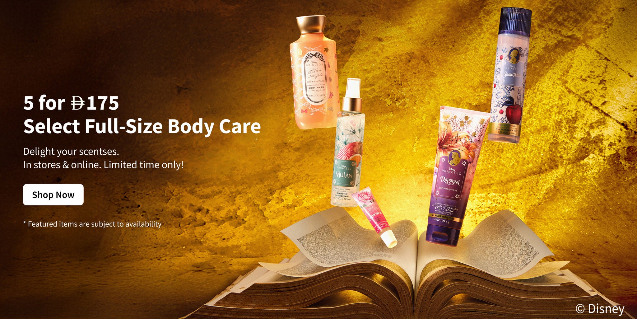 Promo Banner (image banner)