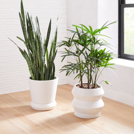 Totem Planters