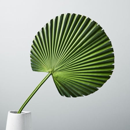 Faux Fan Palm Plant Leaf