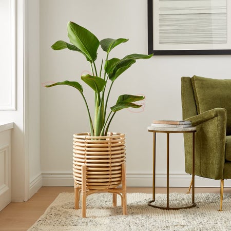 Adobe Rattan Planter
