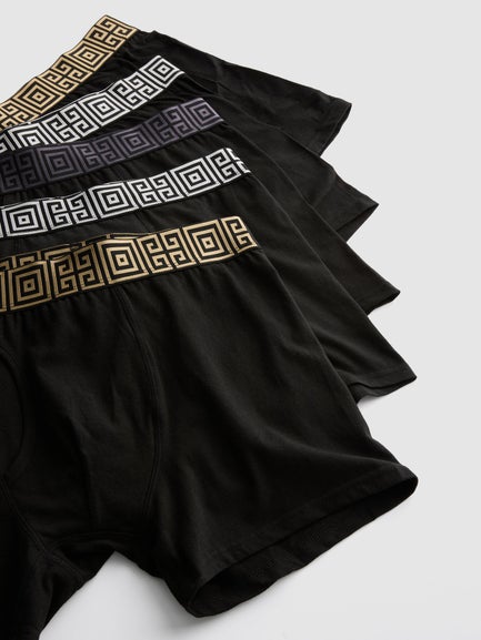 5pk Metallic Waistband Trunks