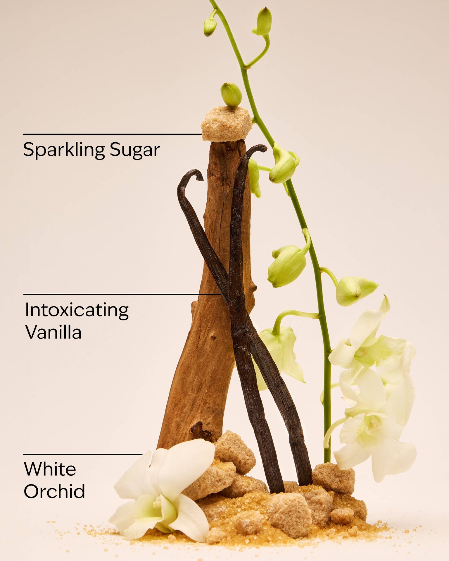 Warm Vanilla Sugar Fine Fragrance Mist