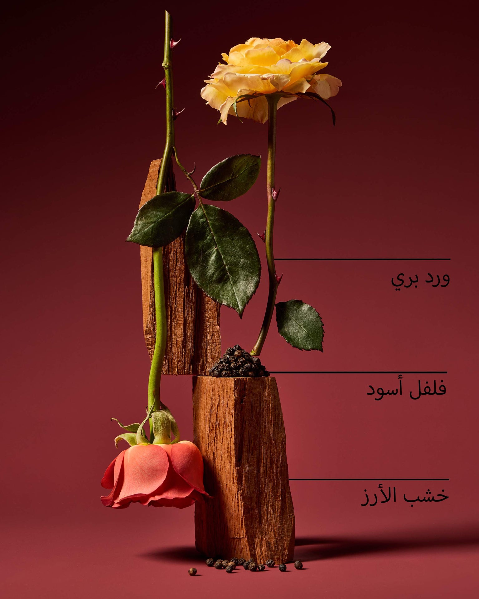 Nocturnal Rose Body Spray