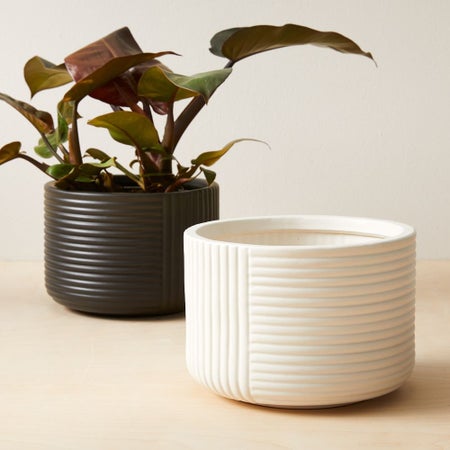 Cecilia Tabletop Planters