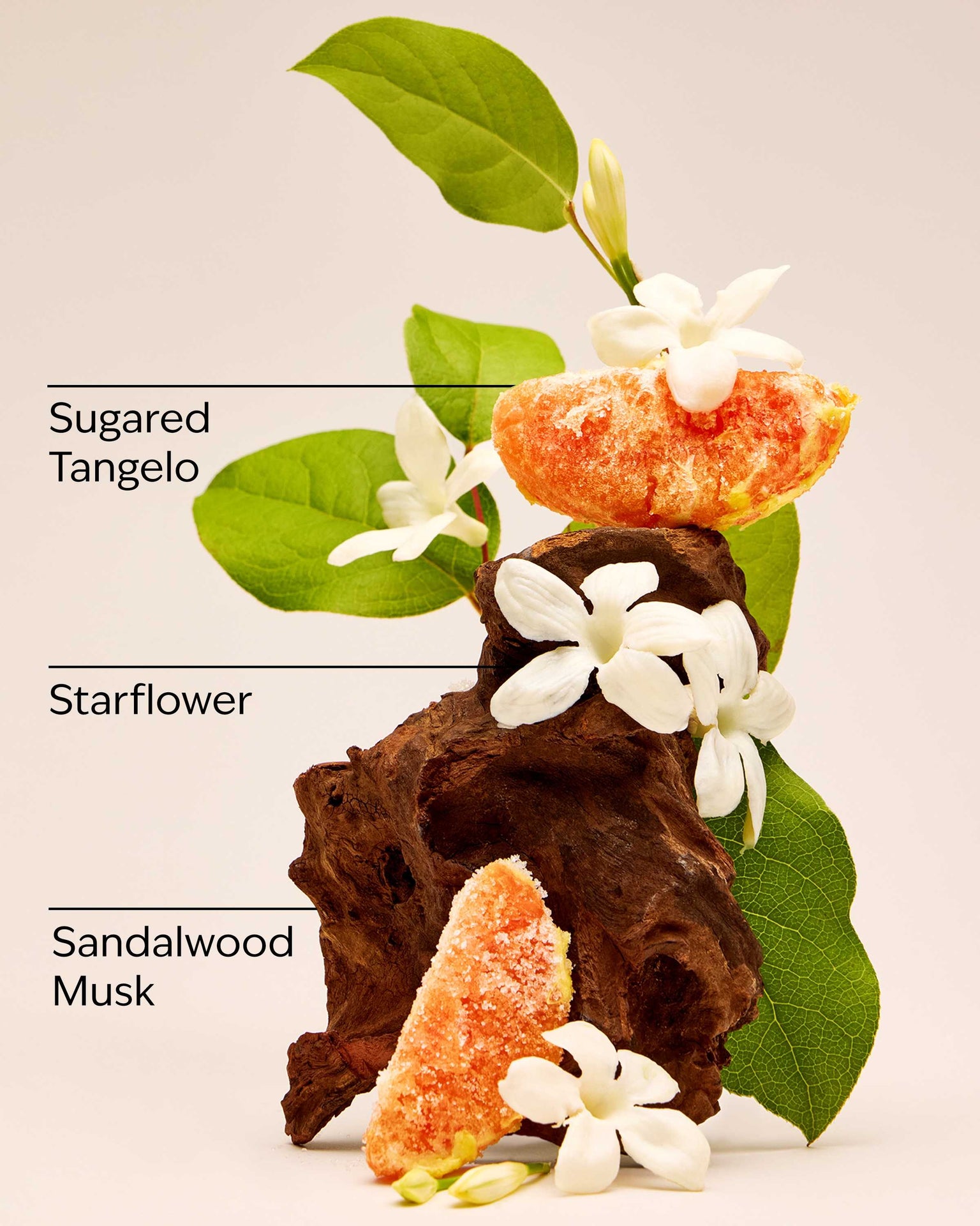 In the Stars Wallflowers Fragrance Refill