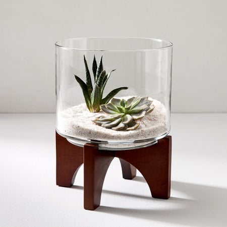 Turned Wood Terrarium