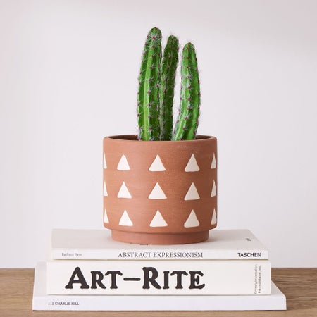 Faux Potted Peanut Cactus Plant