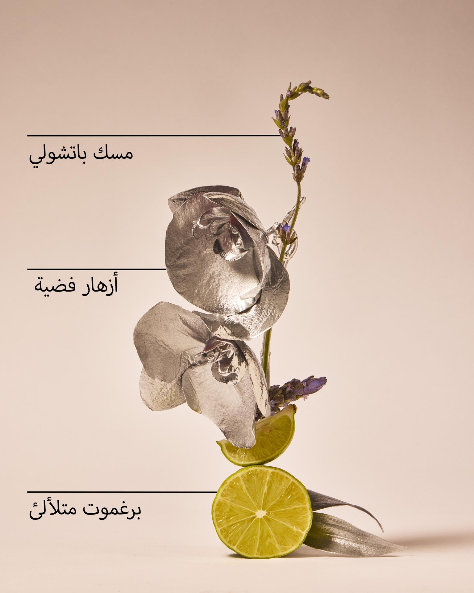 Platinum Fine Fragrance Mist