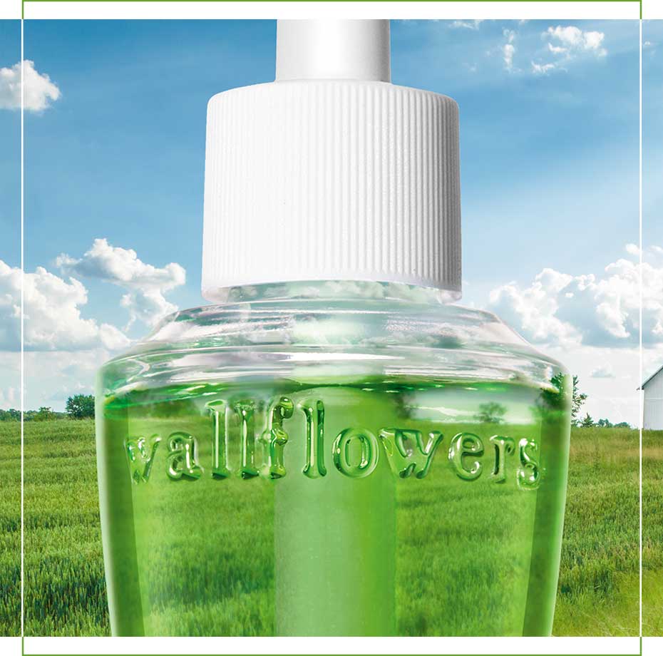 Fresh and relaxing Wallflower refills at Bath and Body Works