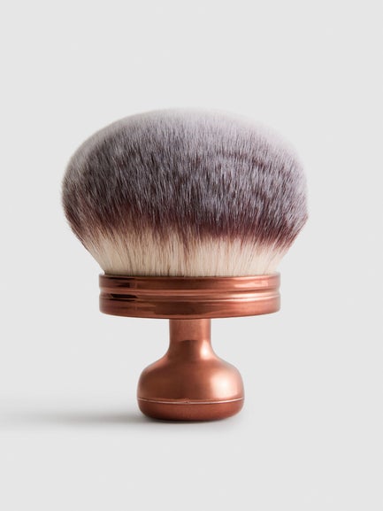 PS... Pro Body Bronzing Brush