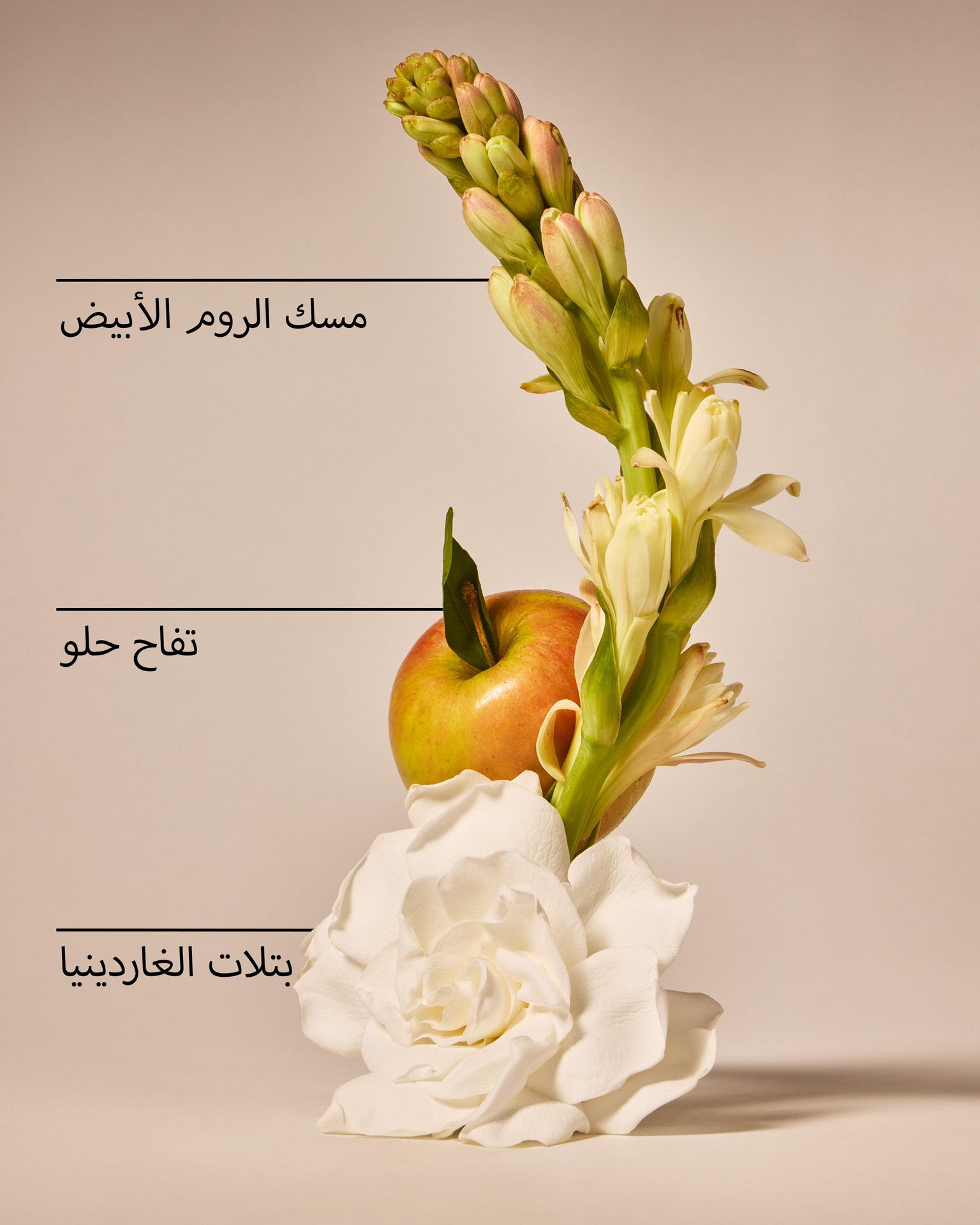 White Gardenia 3-Wick Candle