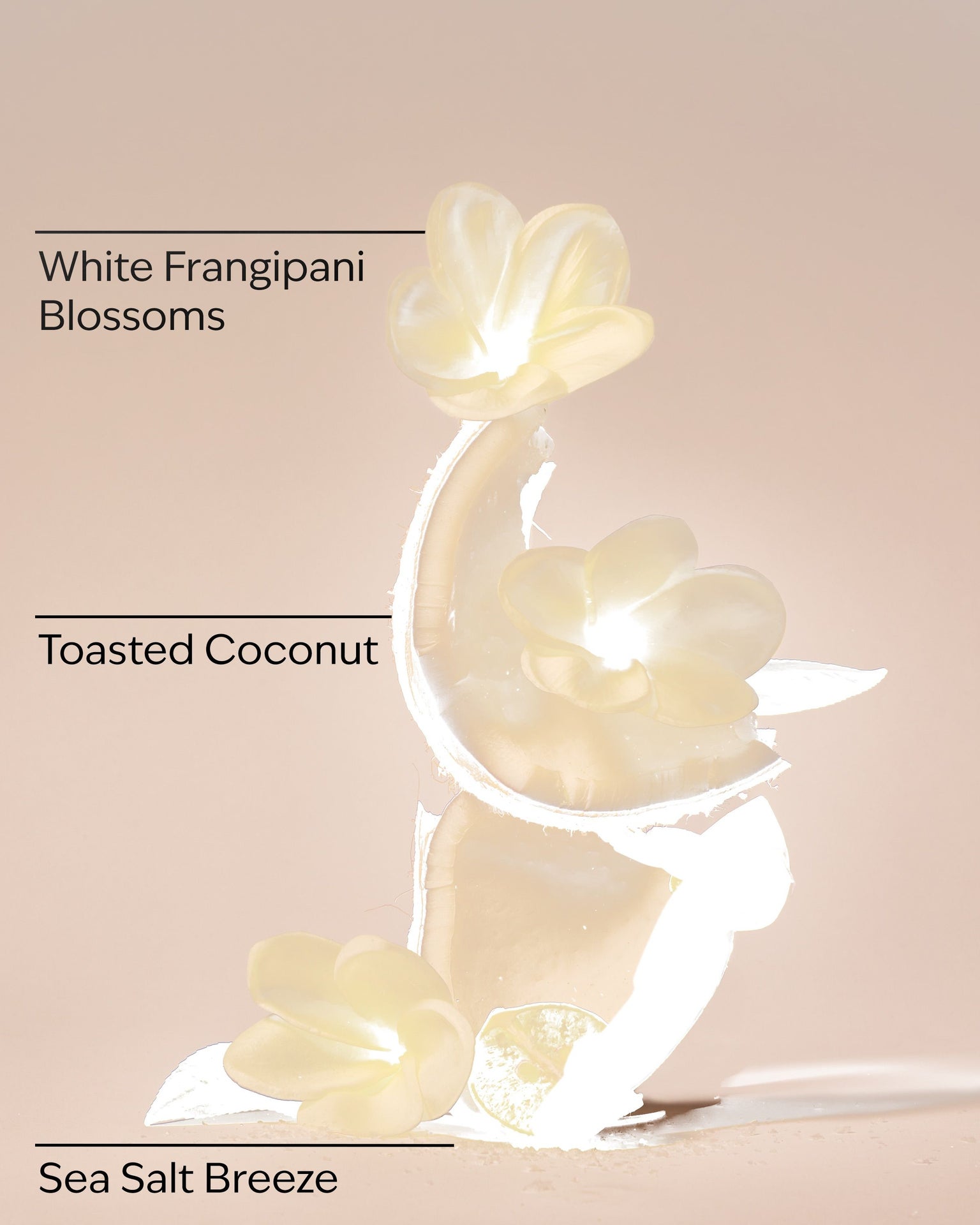At the Beach Fine Fragrance Mist